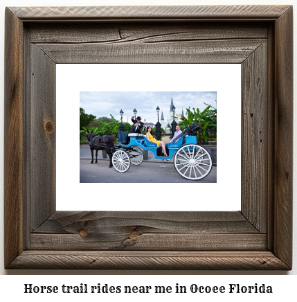 horse trail rides near me in Ocoee, Florida